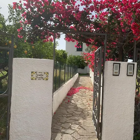 4 Rose Sant'Angelo (Isola d'Ischia)