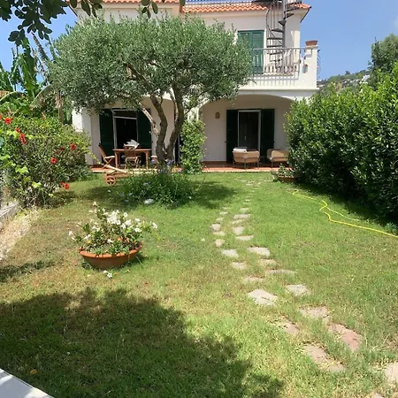 4 Rose Sant'Angelo (Isola d'Ischia)